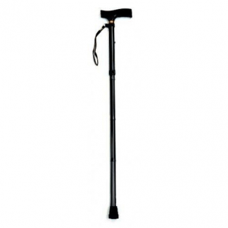 Walking Stick